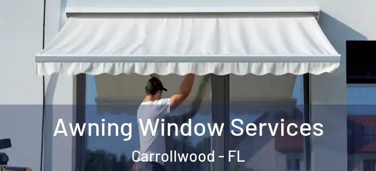  Awning Window Services Carrollwood - FL