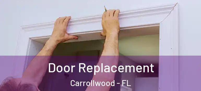  Door Replacement Carrollwood - FL