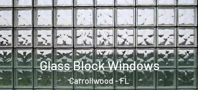  Glass Block Windows Carrollwood - FL