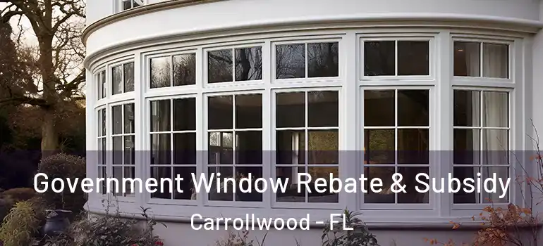  Government Window Rebate & Subsidy Carrollwood - FL