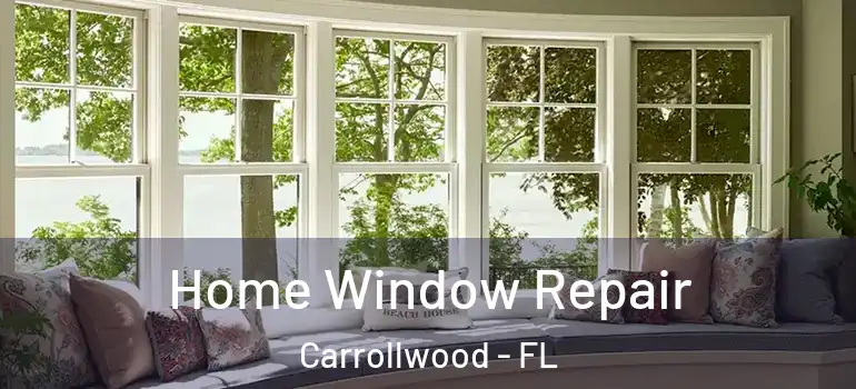  Home Window Repair Carrollwood - FL