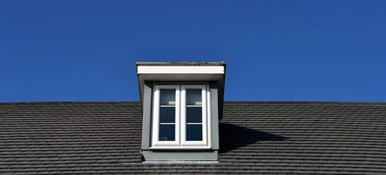 Roof Window Installation in Carrollwood, FL