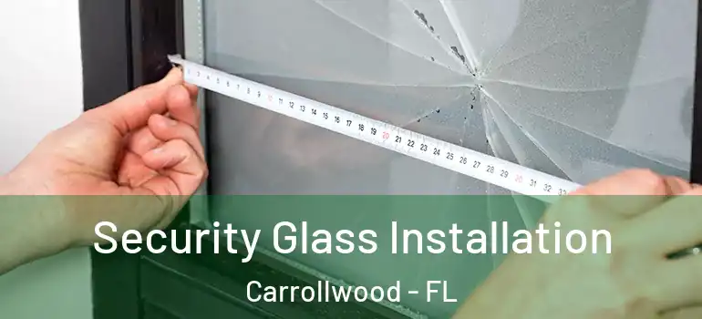  Security Glass Installation Carrollwood - FL